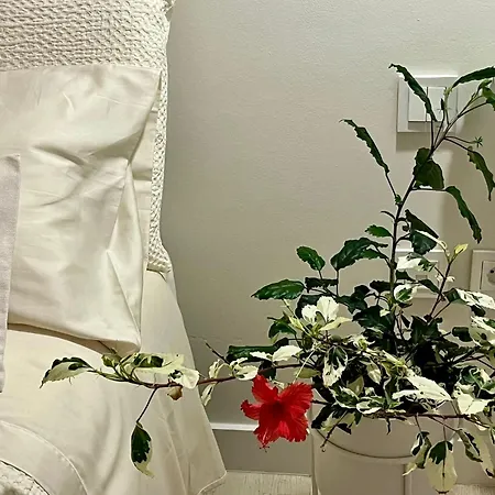 Private Pool & Jacuzzi, Esperanza アデヘ